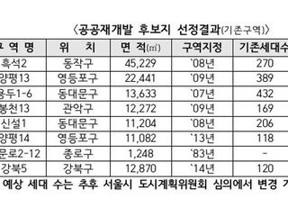 홍남기 "흑석2구역 등 공공재개발 후보지 8곳 선정…서울 4700호 추가공급"