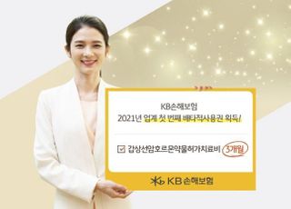 KB손보, 새해 첫 배타적사용권 획득​