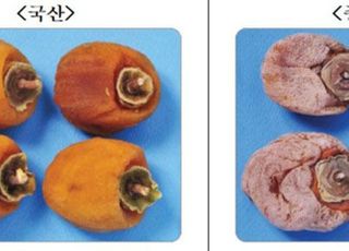 “설 제수용품 원산지 이렇게 확인하세요”