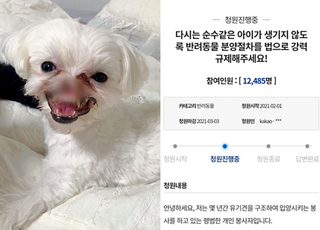 "코 입 잘린 채 버려졌다" 참혹한 말티즈 사연에 공분, 청원까지 등장