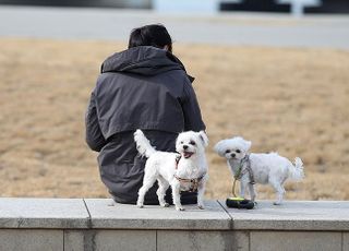 반려동물도 거리유지…코로나 확인땐 2주 자택격리