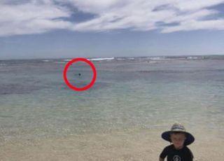 해변가서 신난 아들과 상어에 물린 아빠…부자의 마지막 사진