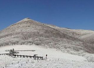 산림청, 겨울철 산림 내 야영·취사 특별단속