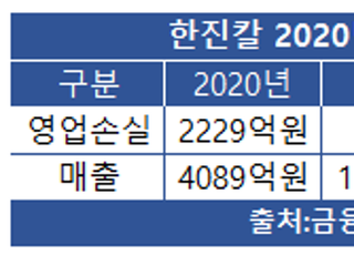 한진칼, 지난해 영업손실 2229억…적자폭 확대