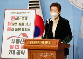 나경원의 '부동산 원더풀 7대 공약'..."원하면 더 짓고 풀겠다"