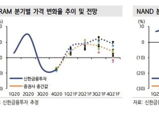 “반도체 비중 확대...낸드업황 3분기 강한 반등 전망”-신한금융투자