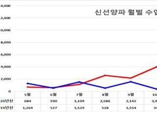 양파 가격상승, 민간 수입 6배 증가