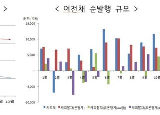 여전사 '유동성 리스크 모범규준' 도입…캐피탈 레버리지 8배로