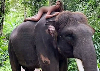 알몸으로 코끼리 올라탄 러시아 女모델, 거센 비난 받은 이유