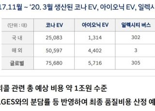 현대차 "코나EV 화재 관련 리콜 비용 1조 수준"