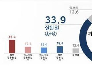 '위법·졸속 논란' 가덕도특별법, 국민 과반 "잘못됐다"