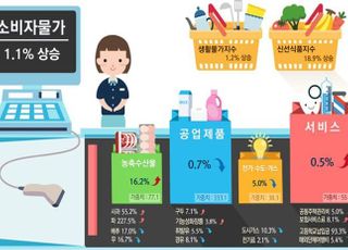 2월 소비자물가 1.1% 상승…농수산물 상승 폭 최대