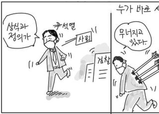 [D-시사만평] 윤석열의 '상식과 정의'…여권, 비난 '융단 폭격'