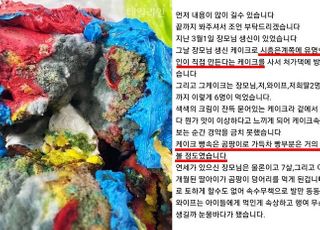 "유명 연예인이 만든다 해서 샀는데…" 곰팡이 꽉 찬 케이크 판매 논란[지금e슈]