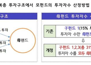 '사모펀드 쪼개기' 투자 금지…자본시장법 시행령 개정안 의결