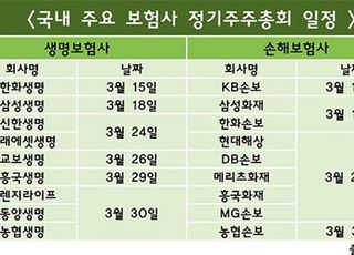 보험사 주총 시즌 임박…'변화보다 안정' 재확인