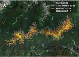 국립공원공단, 5만여 건 지리산 아고산대 상록침엽수 고사목 검출