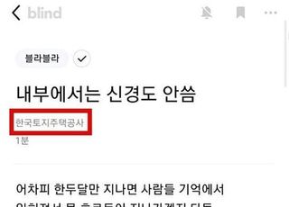 "꼬우면 이직해" 조롱글 LH직원, 드러나면 '파면'당한다