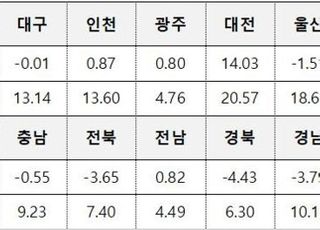 [공시가 인상] 세종 70%·서울 20% 상승…아파트 공시가 폭탄 터졌다