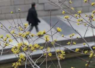 [내일 날씨] 따뜻한 봄…서울 낮 최고기온 19도