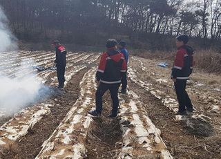 실수로 낸 산불도 책임져야…산림청 “끝까지 추적”