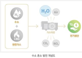 한화종합화학, 국내 첫 수소 혼소 발전 기술 확보