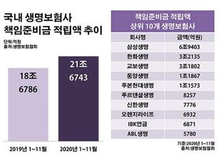 생보사 살린 저축성보험…이차역마진 부메랑되나