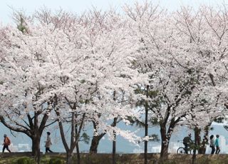 [오늘날씨] 오후부터 봄비 ‘촉촉’...미세먼지 ‘보통’