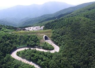 산림청, 기후변화 대응…산림생태복원과 신설