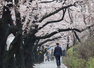 [내일날씨] 전국 대체로 맑아…일교차 20도 이상