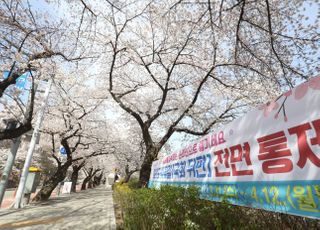 &lt;포토&gt; '윤중로 벚꽃길 전면 통제'