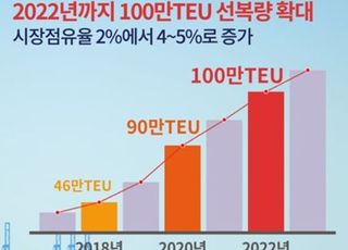 HMM "내년까지 선복량 100만TEU…톱클래스 선사 도약"