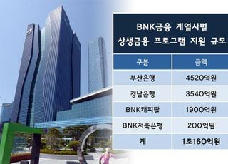 BNK금융 공격적 금융지원에 시중은행 '심기불편'