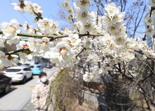 [내일날씨] 대체로 맑고 대기고 깨끗…일교차 유의해야