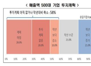 한경연 “주요 기업 둘 중 하나, 투자계획 없거나 미정"