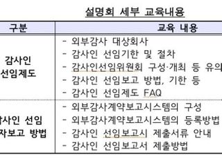 금감원, 첫 외감대상 회사 위한 온라인설명회 개최