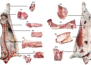 소·돼지 한 마리, 고기량은…평균 소 273.4kg·돼지 62.47kg