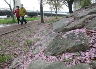 [내일 날씨] 흐리고 곳곳 단비…낮 기온 20도 내외