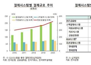 지난해 ‘공모주 열풍’ 소액결제 순이체한도 소진율도 들썩