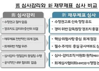 '재무제표 심사' 도입 2년…금감원 "경조치 처리 146일 단축"