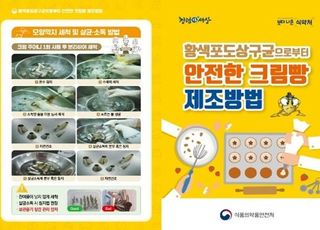 주문 제작 케이크서 '식중독균·금지보존료' 검출…식약처 "전량 폐기 후 판매중단"