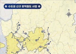 '김부선' 못 박혔는데 대체노선도 없어…2기 신도시 패싱?