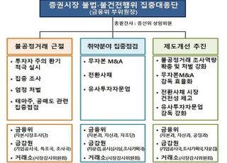 금융당국, '무자본 M&amp;A·전환사채 불법 거래' 집중점검 나선다