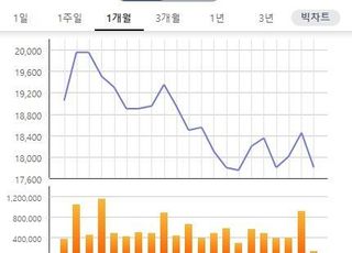 [특징주] 롯데관광개발, 공매도 재개 부담에 하락