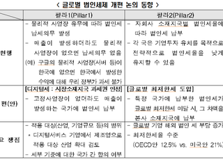 한경연 “국제조세체계 개편…기업 세부담 가중 우려”