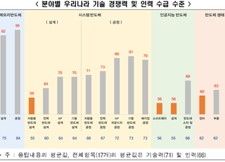 “韓 AI·차량용 반도체 경쟁력 낮아”…반도체 산업 전문가 진단