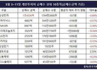 공매도 이후 개미 순매수 늘었다…가장 많이 사들인 종목은?