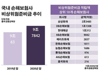 손보사 10조 비상금의 '역설'…"위험 대비하니 리스크 급증"