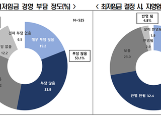 한경연 “자영업자 과반이상, 최저임금 동결해도 고용여력 없다”