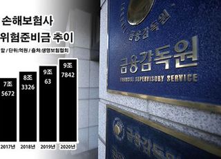 [단독] 손보사, 자본 5조원 증발 위기 벗어났다